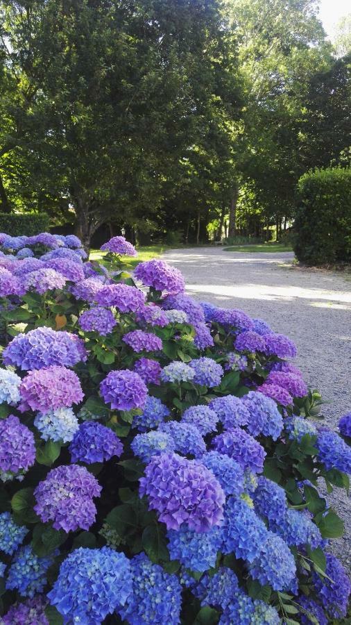Domaine Du Plessis Grimaud Bed & Breakfast Saint-Viaud Exterior foto